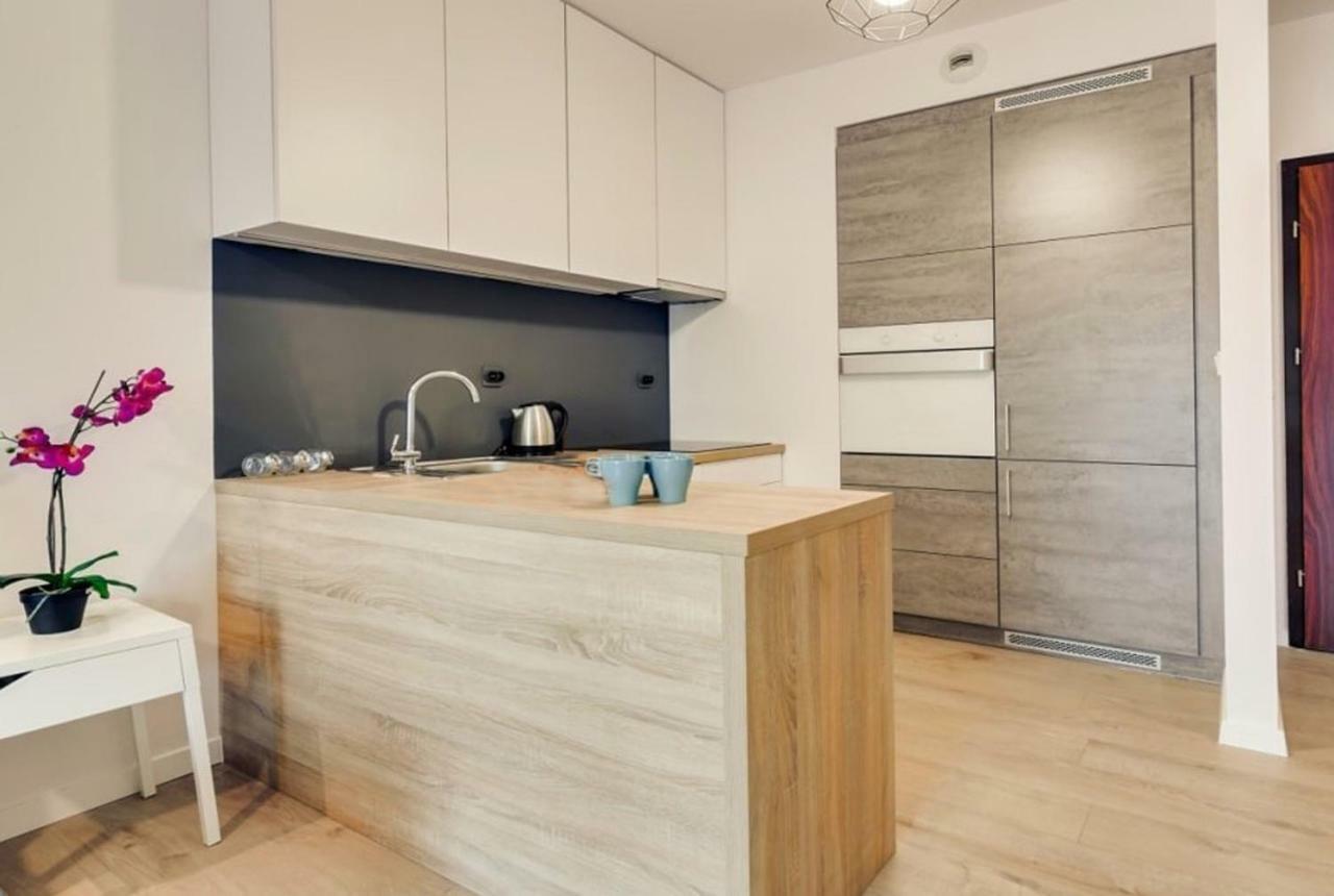 Bluebird City Center Apartment Wroclaw Bagian luar foto
